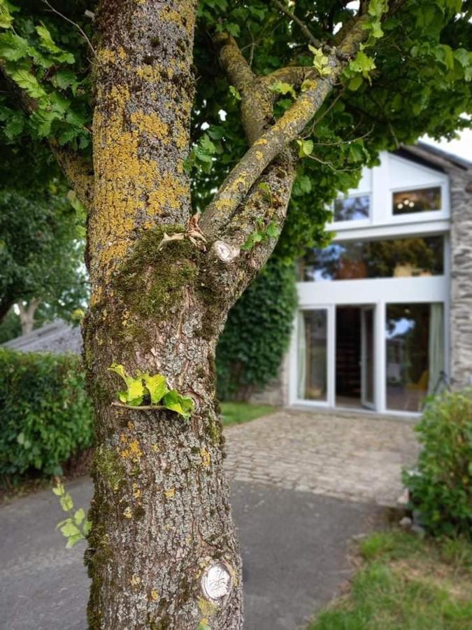 Li Gurni Villa Houffalize Buitenkant foto